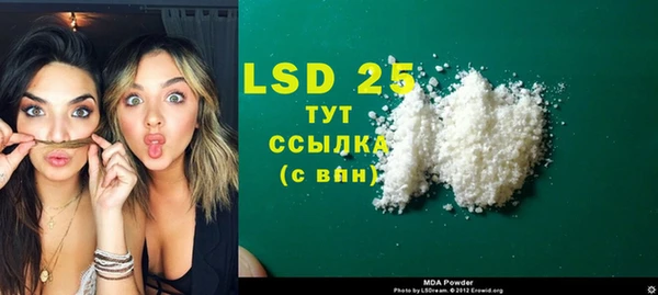 прущие грибы Медвежьегорск