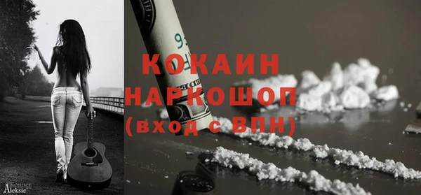 прущие грибы Медвежьегорск
