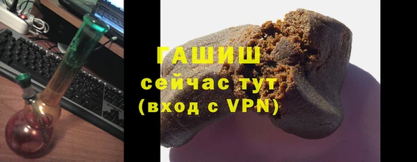 прущие грибы Медвежьегорск