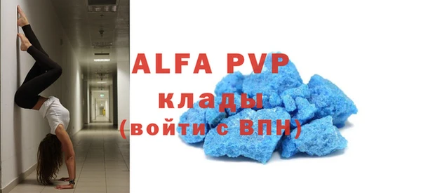 прущие грибы Медвежьегорск