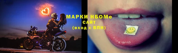 прущие грибы Медвежьегорск