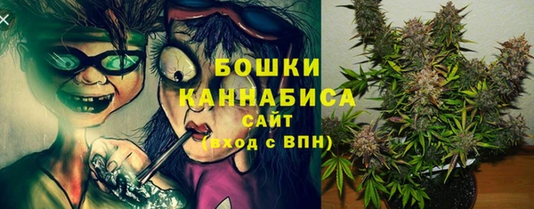 MDMA Медногорск