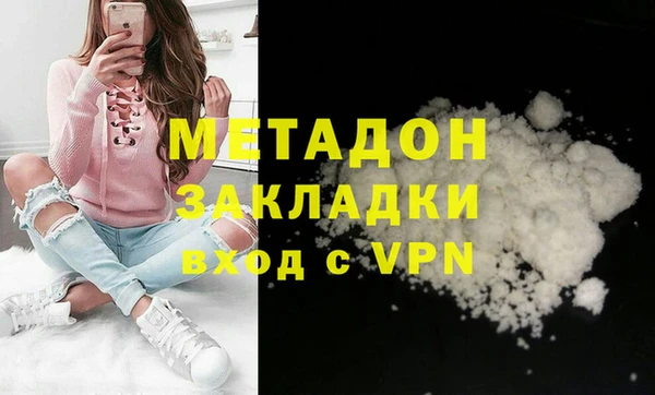 прущие грибы Медвежьегорск